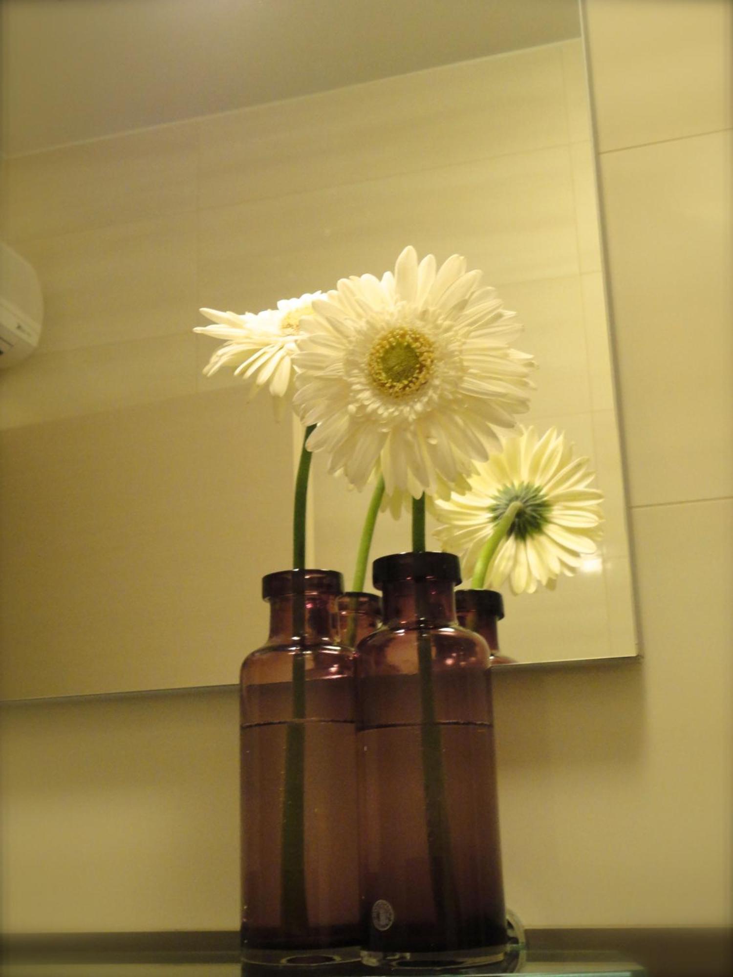 Apartma Sunrise